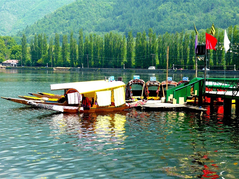 Best Travel Planner in Kashmir